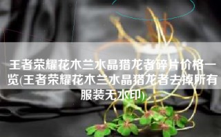 王者荣耀花木兰水晶猎龙者碎片价格一览(王者荣耀花木兰水晶猎龙者去掉所有服装无水印)