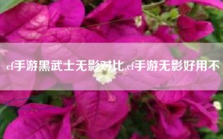 cf手游黑武士无影对比,cf手游无影好用不