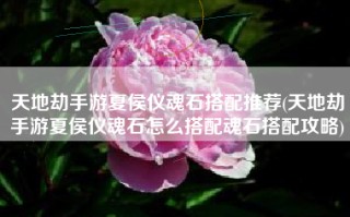 天地劫手游夏侯仪魂石搭配推荐(天地劫手游夏侯仪魂石怎么搭配魂石搭配攻略)