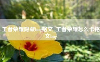 王者荣耀隐藏bug铭文_王者荣耀怎么卡铭文bug