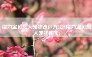 魔力宝贝旅人宠物改造方法 (魔力宝贝旅人宠物图鉴)