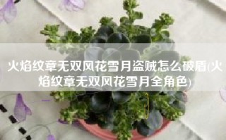 火焰纹章无双风花雪月盗贼怎么破盾(火焰纹章无双风花雪月全角色)