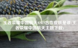 王者荣耀中国航天ASES合作皮肤是谁(王者荣耀中国航天主题下载)