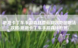 跑跑卡丁车手游森林蘑菇洞穴地图跑法攻略(跑跑卡丁车手游森林巨熊)