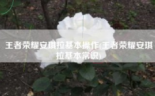 王者荣耀安琪拉基本操作(王者荣耀安琪拉基本常识)