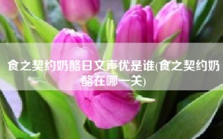 食之契约奶酪日文声优是谁(食之契约奶酪在哪一关)