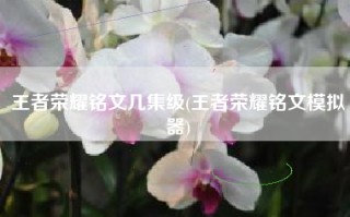 王者荣耀铭文几集级(王者荣耀铭文模拟器)