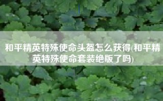 和平精英特殊使命头盔怎么获得(和平精英特殊使命套装绝版了吗)