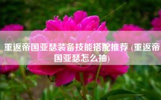 重返帝国亚瑟装备技能搭配推荐 (重返帝国亚瑟怎么抽)
