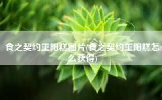 食之契约重阳糕图片(食之契约重阳糕怎么获得)