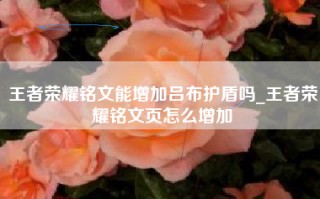 王者荣耀铭文能增加吕布护盾吗_王者荣耀铭文页怎么增加