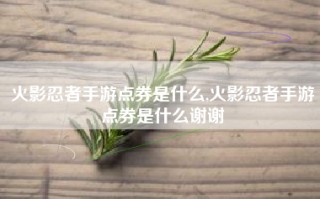火影忍者手游点券是什么,火影忍者手游点券是什么谢谢