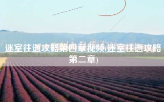 迷室往逝攻略第四章视频(迷室往逝攻略第二章)