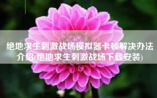 绝地求生刺激战场模拟器卡顿解决办法介绍(绝地求生刺激战场下载安装)