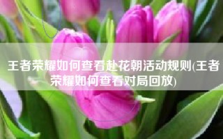 王者荣耀如何查看赴花朝活动规则(王者荣耀如何查看对局回放)