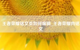 王者荣耀铭文页如何编辑_王者荣耀肉铭文