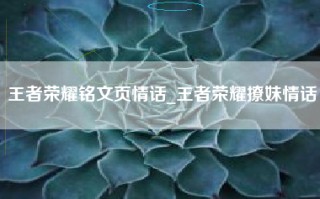 王者荣耀铭文页情话_王者荣耀撩妹情话