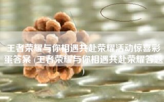 王者荣耀与你相遇共赴荣耀活动惊喜彩蛋答案 (王者荣耀与你相遇共赴荣耀答题)