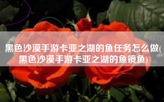 黑色沙漠手游卡亚之湖的鱼任务怎么做(黑色沙漠手游卡亚之湖的鱼镜鱼)