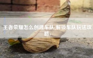 王者荣耀怎么创建车队(解锁车队玩法攻略)