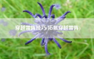 穿越雷阵技巧(拓展穿越雷阵)