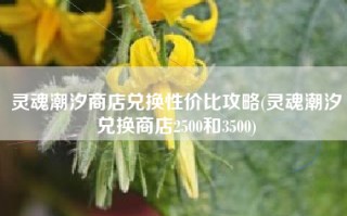 灵魂潮汐商店兑换性价比攻略(灵魂潮汐兑换商店2500和3500)