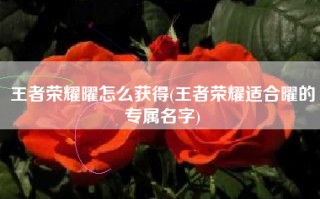 王者荣耀曜怎么获得(王者荣耀适合曜的专属名字)