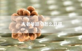大老爷路引怎么获得