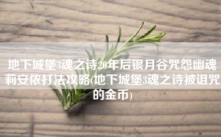 地下城堡3魂之诗20年后银月谷咒怨幽魂莉安侬打法攻略(地下城堡3魂之诗被诅咒的金币)
