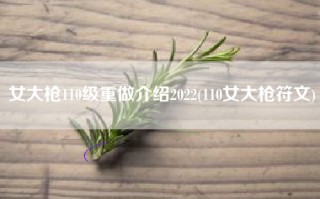 女大枪110级重做介绍2022(110女大枪符文)