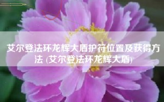 艾尔登法环龙辉大盾护符位置及获得方法 (艾尔登法环龙辉大盾)