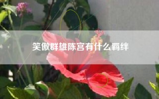笑傲群雄陈宫有什么羁绊