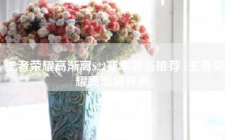 王者荣耀高渐离S22赛季装备推荐 (王者荣耀高渐离身高)
