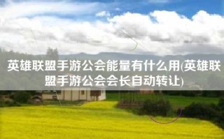 英雄联盟手游公会能量有什么用(英雄联盟手游公会会长自动转让)