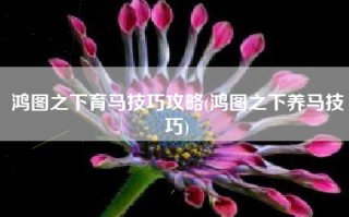鸿图之下育马技巧攻略(鸿图之下养马技巧)