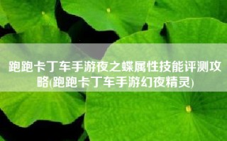 跑跑卡丁车手游夜之蝶属性技能评测攻略(跑跑卡丁车手游幻夜精灵)