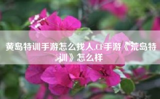 黄岛特训手游怎么找人,CF手游《荒岛特训》怎么样