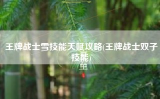 王牌战士雪技能天赋攻略(王牌战士双子技能)