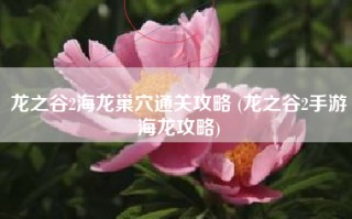 龙之谷2海龙巢穴通关攻略 (龙之谷2手游海龙攻略)