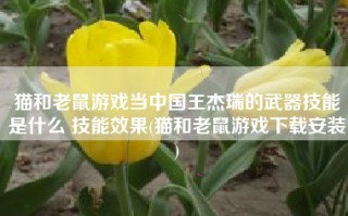 猫和老鼠游戏当中国王杰瑞的武器技能是什么 技能效果(猫和老鼠游戏下载安装)