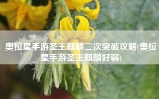 奥拉星手游圣王麒麟二次突破攻略(奥拉星手游圣王麒麟好弱)