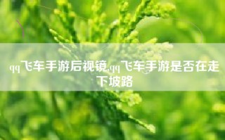 qq飞车手游后视镜,qq飞车手游是否在走下坡路
