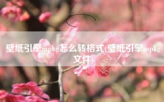 壁纸引擎mpkg怎么转格式(壁纸引擎mpkg文件)