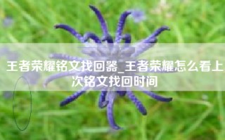 王者荣耀铭文找回器_王者荣耀怎么看上次铭文找回时间