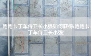 跑跑卡丁车侍卫长小强如何获得(跑跑卡丁车侍卫长小强)