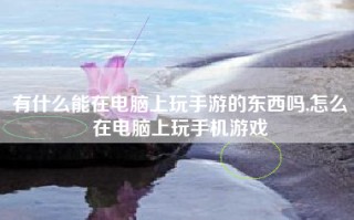 有什么能在电脑上玩手游的东西吗,怎么在电脑上玩手机游戏