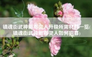 镇魂街武神躯寄灵人升级所需材料一览(镇魂街武神躯寄灵人如何招募)