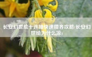 长安幻世绘十连抽快速攒齐攻略(长安幻世绘为什么凉)