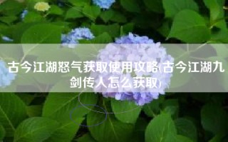古今江湖怒气获取使用攻略(古今江湖九剑传人怎么获取)