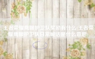 王者荣耀鹰眼护卫队奖励有什么(王者荣耀鹰眼护卫队日常喊话是什么意思)